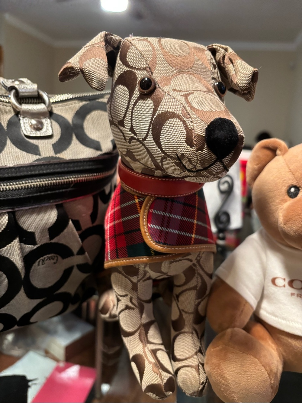CATCH THE COACH AND SOLEIL EVENT!!! - Picture 8 of 16